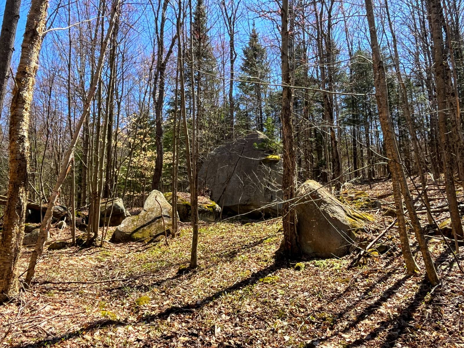 #29 photo, 5096 Blue Mountain Rd, Saint Regis Falls , NY 12980