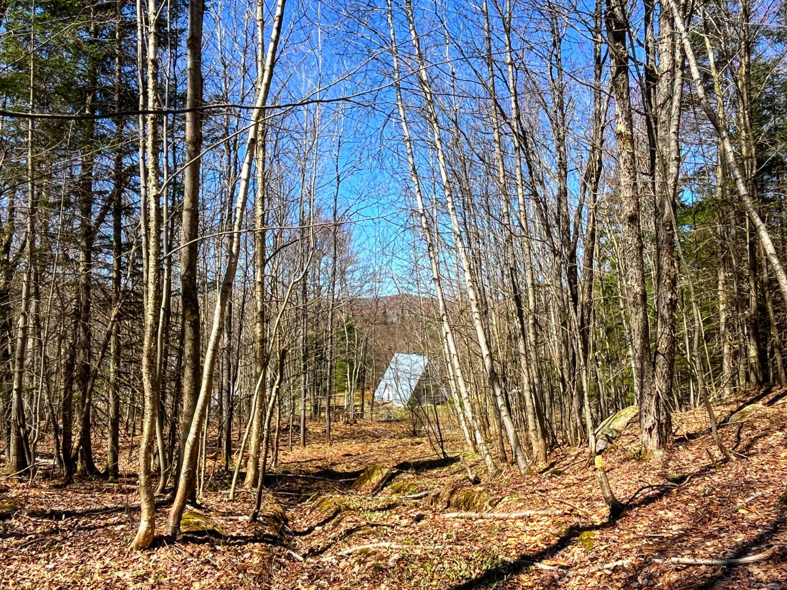 #30 photo, 5096 Blue Mountain Rd, Saint Regis Falls , NY 12980