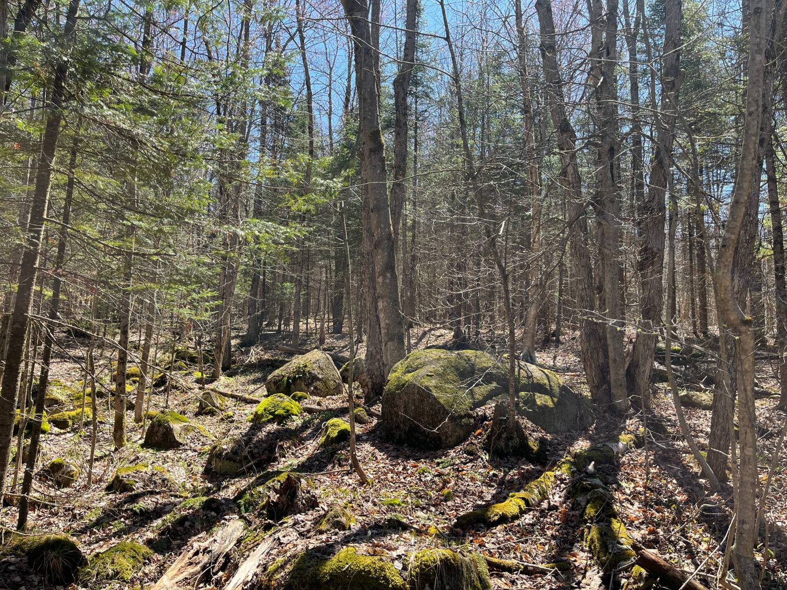 #31 photo, 5096 Blue Mountain Rd, Saint Regis Falls , NY 12980