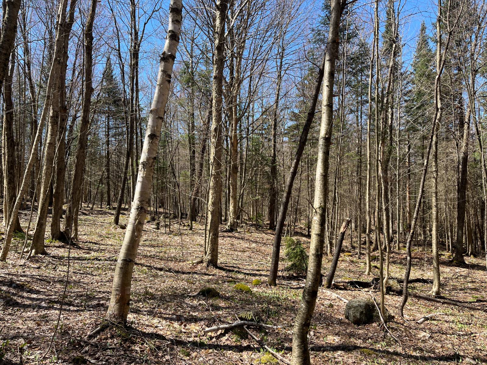 #32 photo, 5096 Blue Mountain Rd, Saint Regis Falls , NY 12980