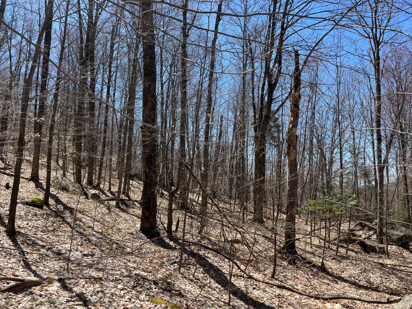 #34 photo, 5096 Blue Mountain Rd, Saint Regis Falls , NY 12980