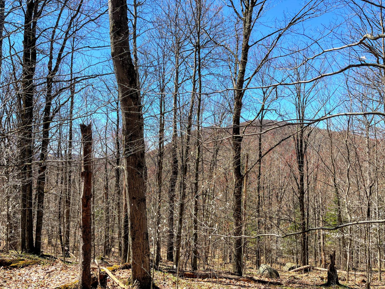 #37 photo, 5096 Blue Mountain Rd, Saint Regis Falls , NY 12980