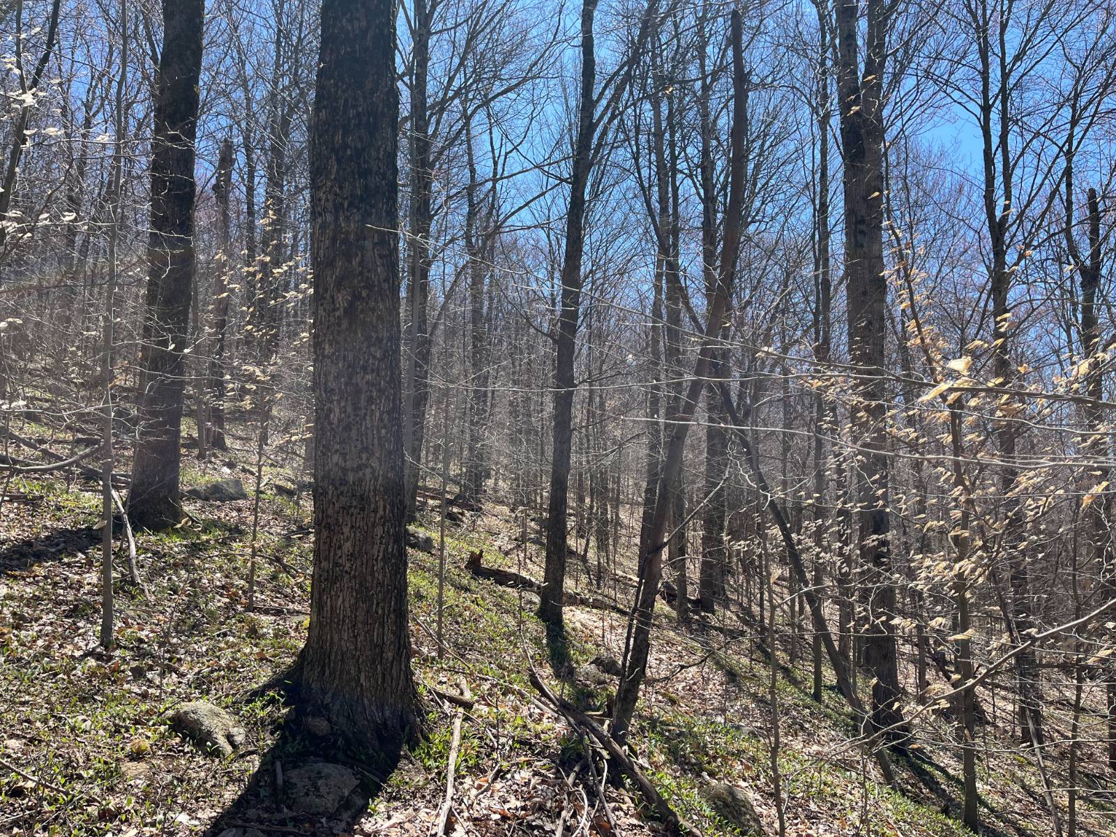 #38 photo, 5096 Blue Mountain Rd, Saint Regis Falls , NY 12980