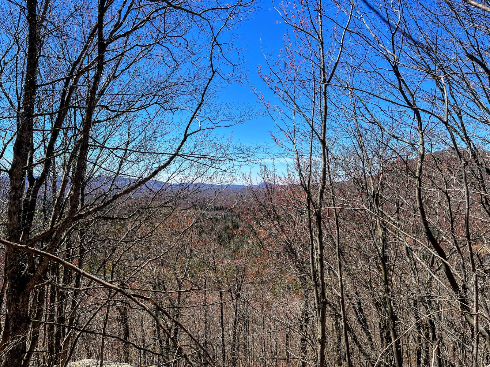 #39 photo, 5096 Blue Mountain Rd, Saint Regis Falls , NY 12980