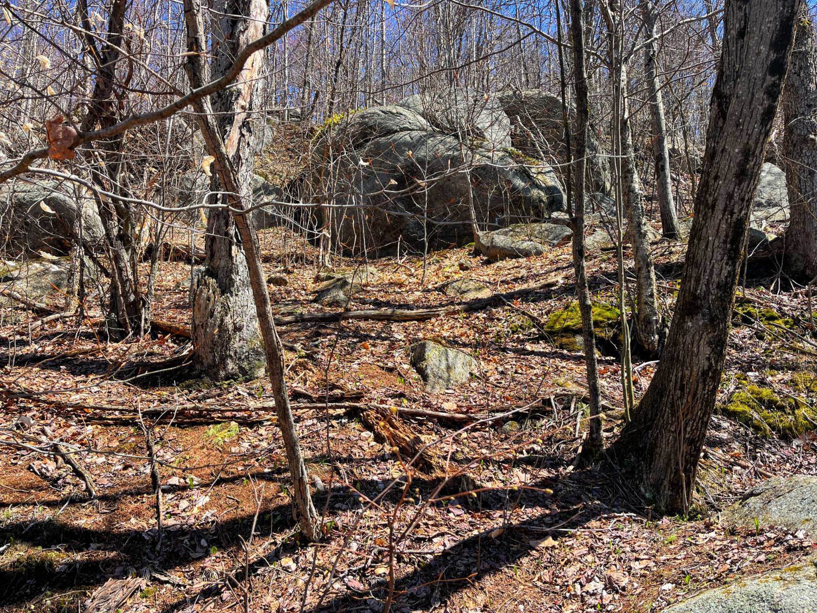 #40 photo, 5096 Blue Mountain Rd, Saint Regis Falls , NY 12980