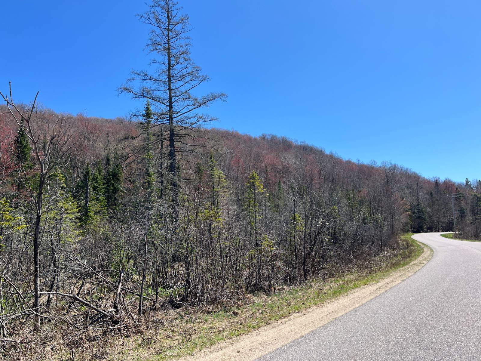 #43 photo, 5096 Blue Mountain Rd, Saint Regis Falls , NY 12980