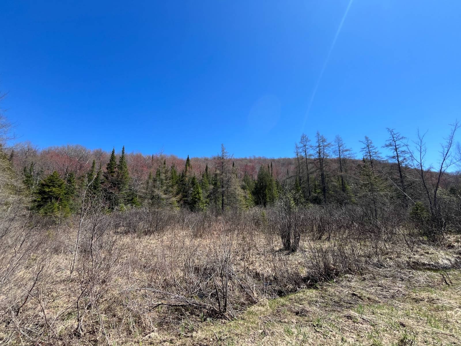 #44 photo, 5096 Blue Mountain Rd, Saint Regis Falls , NY 12980