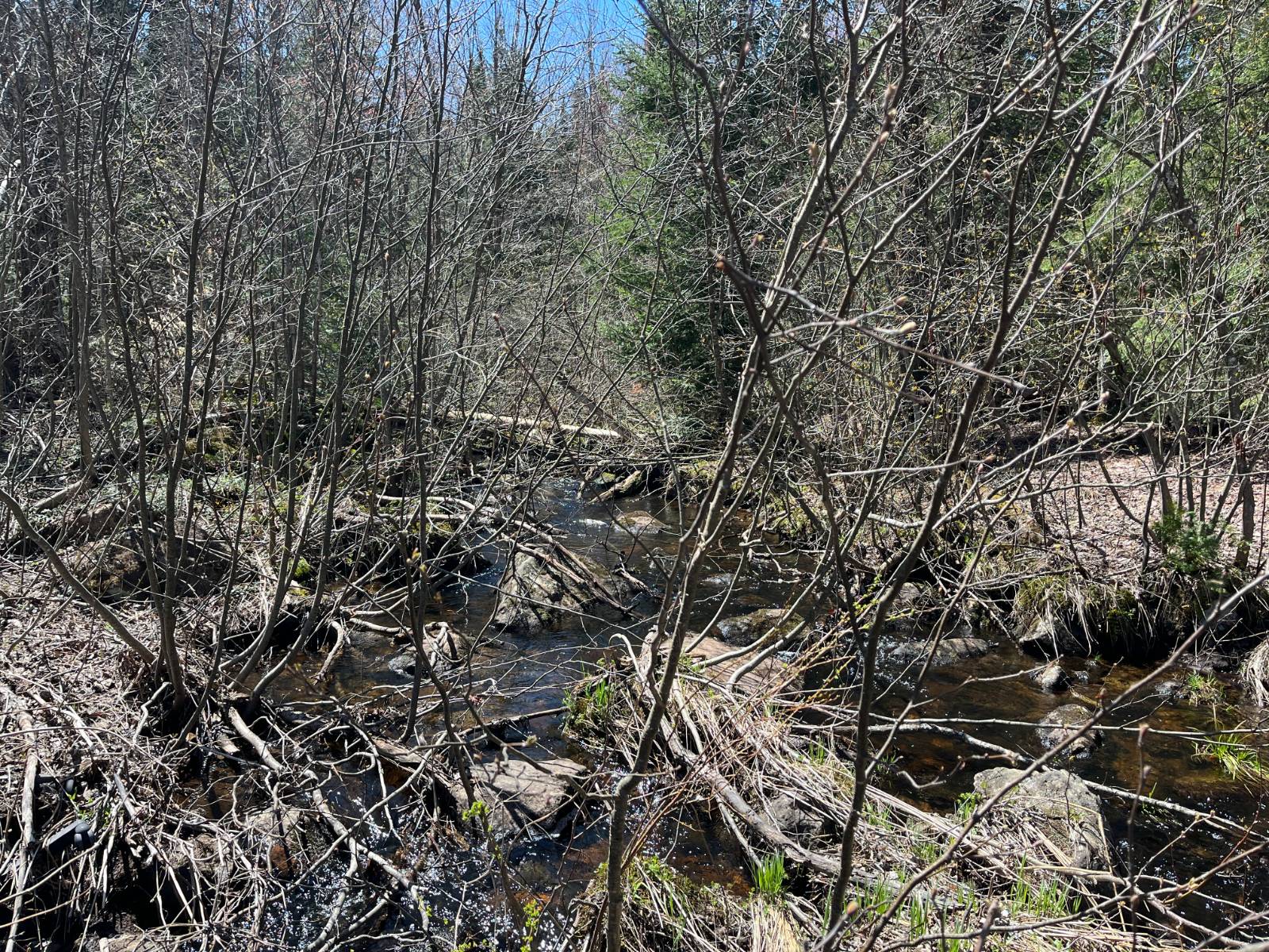 #46 photo, 5096 Blue Mountain Rd, Saint Regis Falls , NY 12980