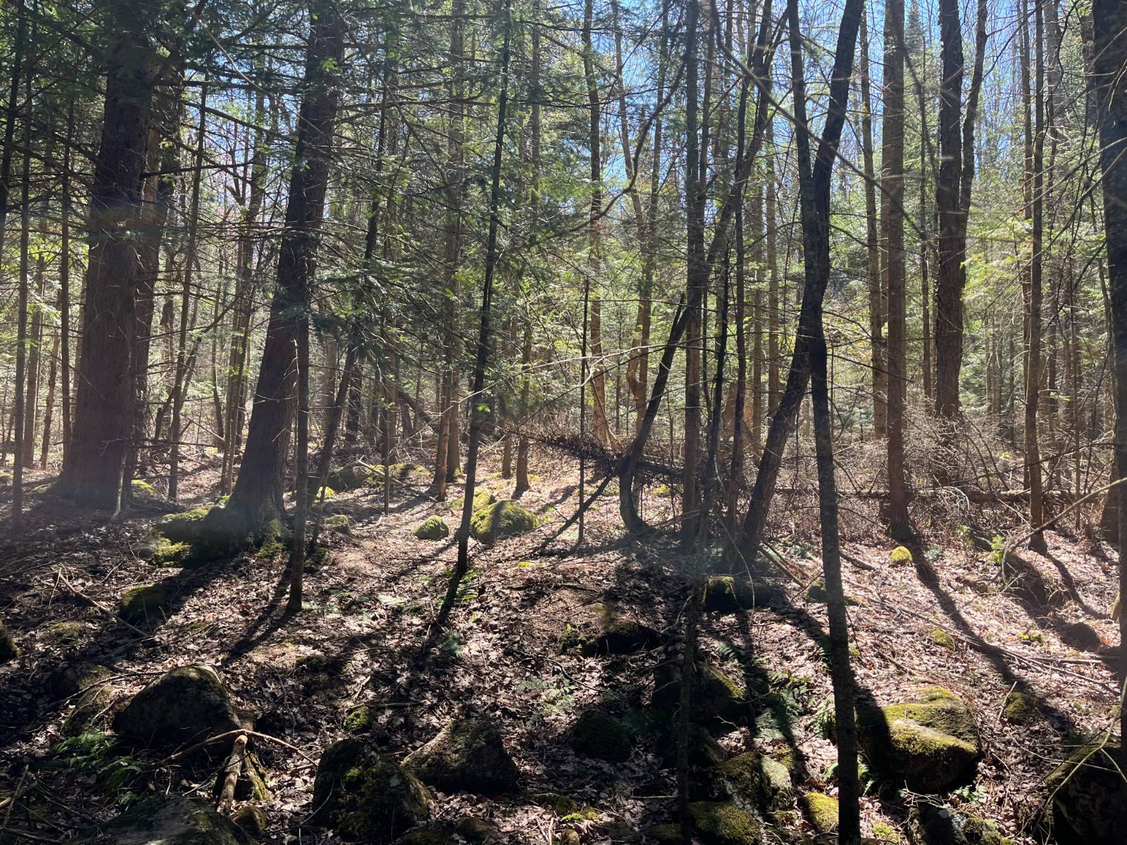 #47 photo, 5096 Blue Mountain Rd, Saint Regis Falls , NY 12980