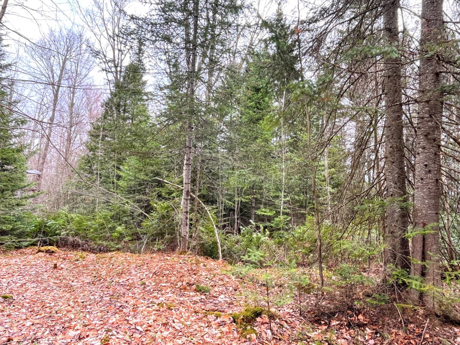 #11 photo, 00 Palmer Rd, Saint Regis Falls , NY 12980