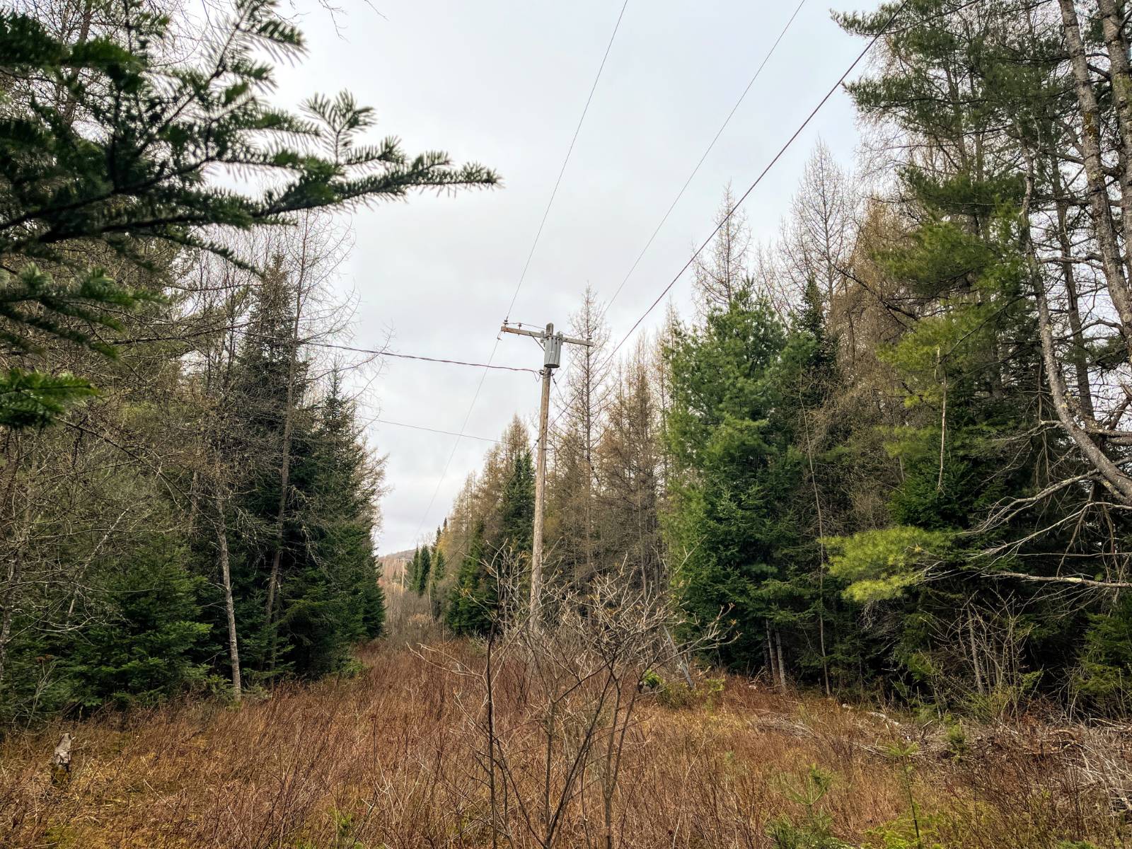 #17 photo, 00 Palmer Rd, Saint Regis Falls , NY 12980