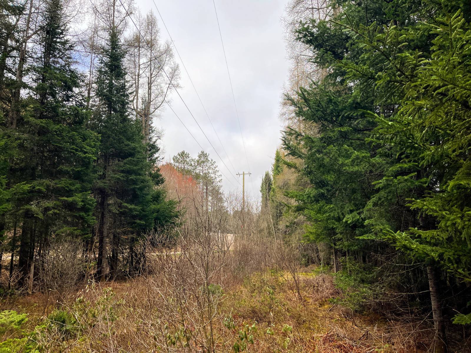 #18 photo, 00 Palmer Rd, Saint Regis Falls , NY 12980