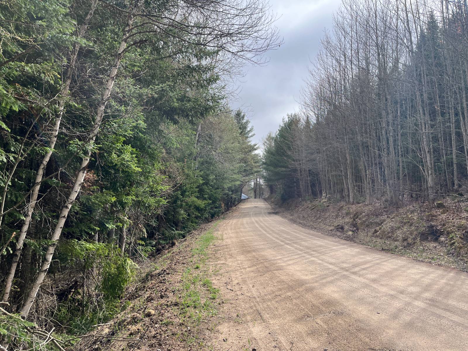 #20 photo, 00 Palmer Rd, Saint Regis Falls , NY 12980