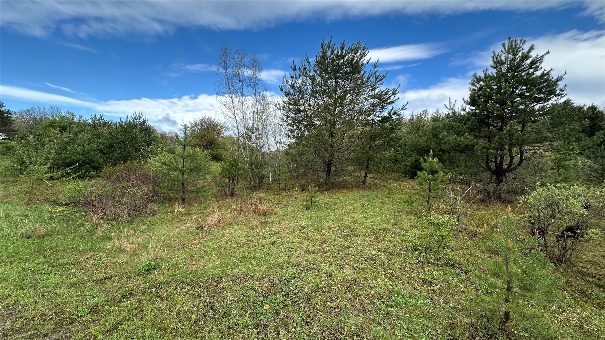 #1 photo, Aden Road, Liberty , NY 12754