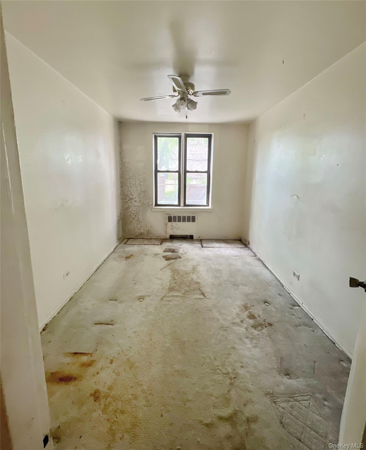 #6 photo, 745 E 231 Street, ブロンクス区 Bronx , NY 10466