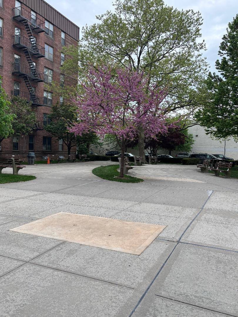 #3 photo, 2170 Brigham Street, #4H, ブルックリン区 Sheepshead Bay , NY 11229