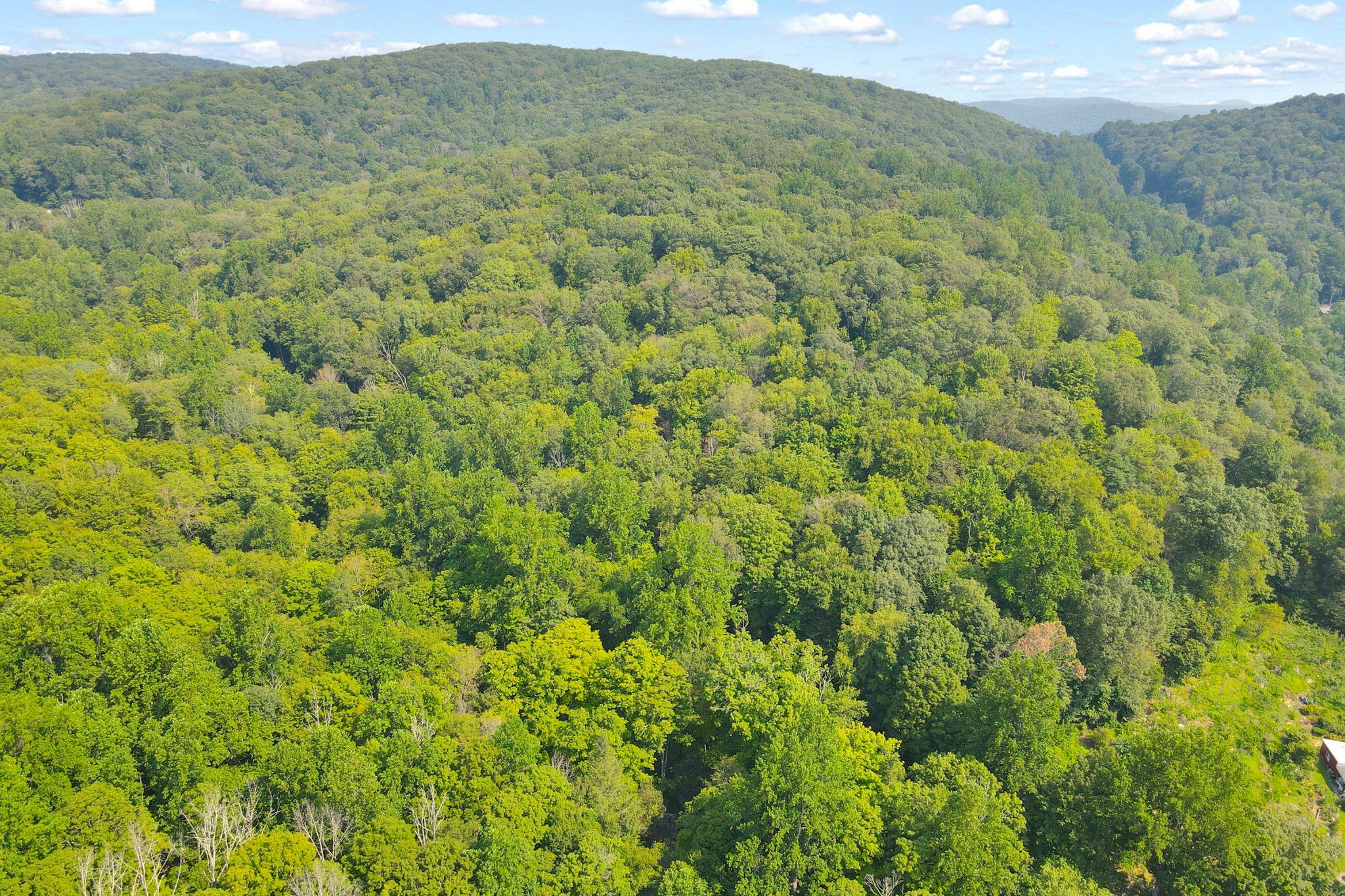 #12 photo, 34 Gordon Road, Carmel , NY 