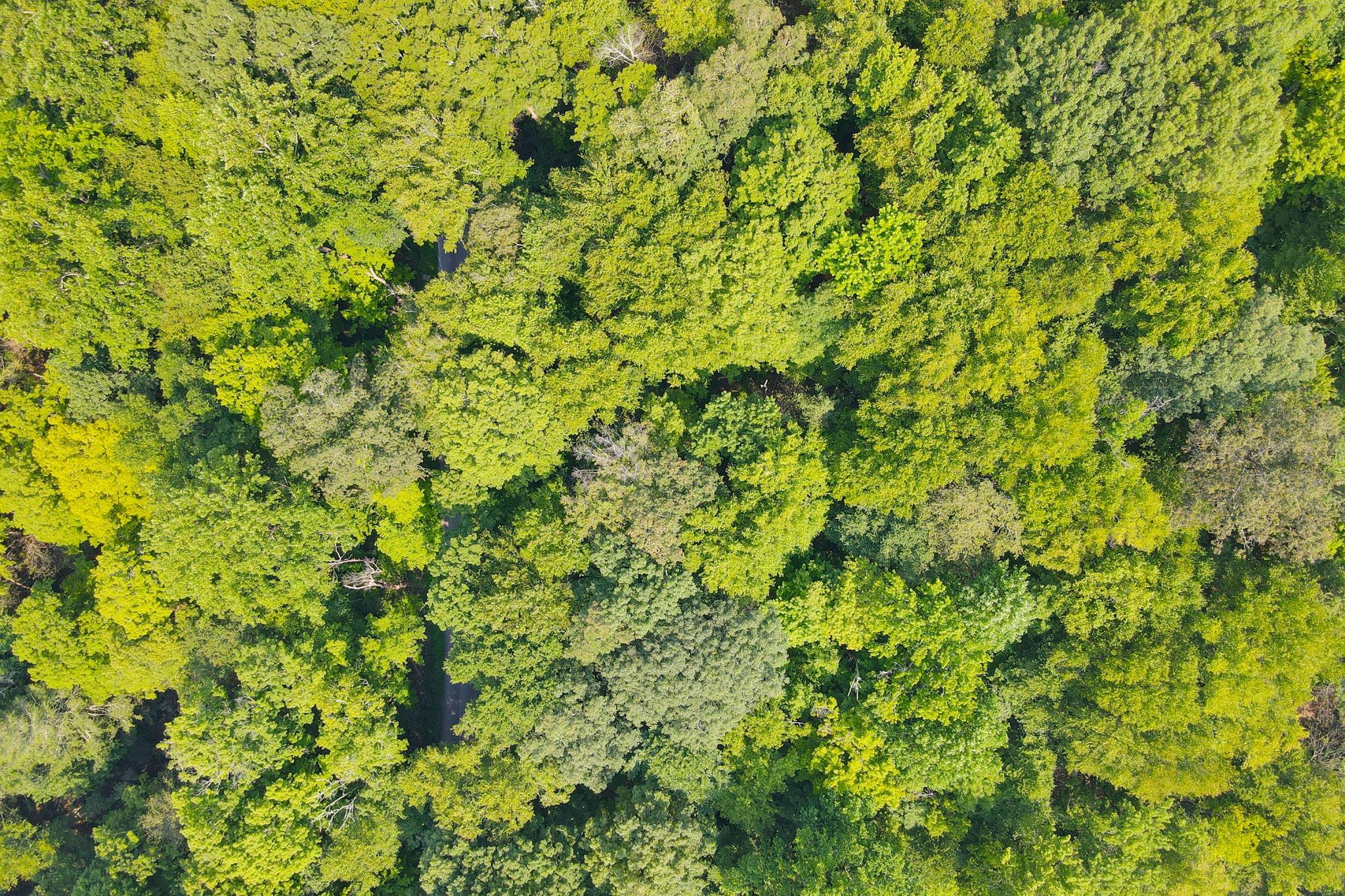 #15 photo, 34 Gordon Road, Carmel , NY 