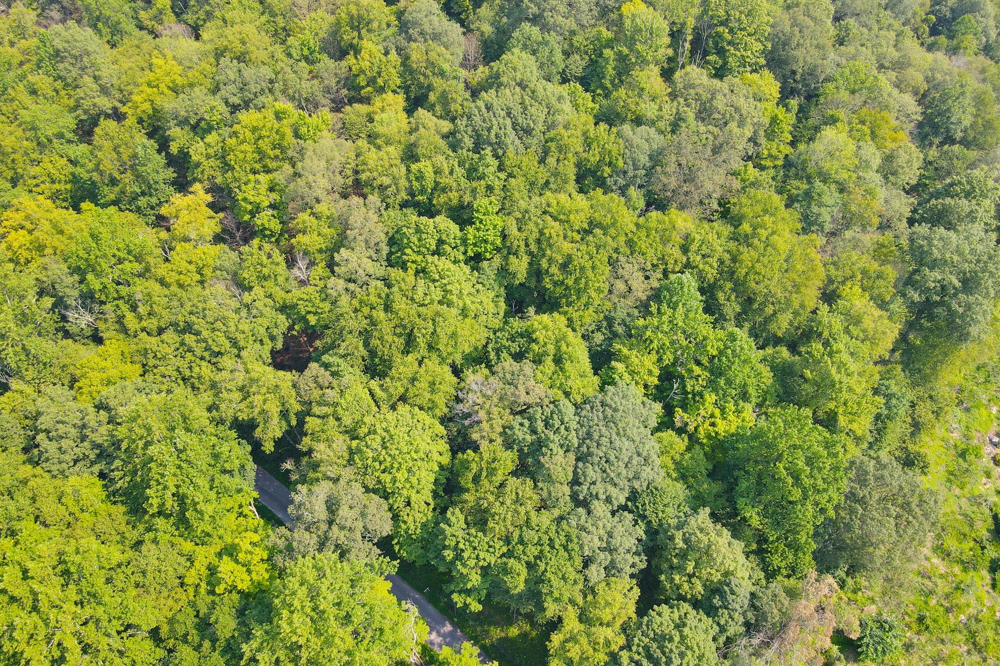 #16 photo, 34 Gordon Road, Carmel , NY 