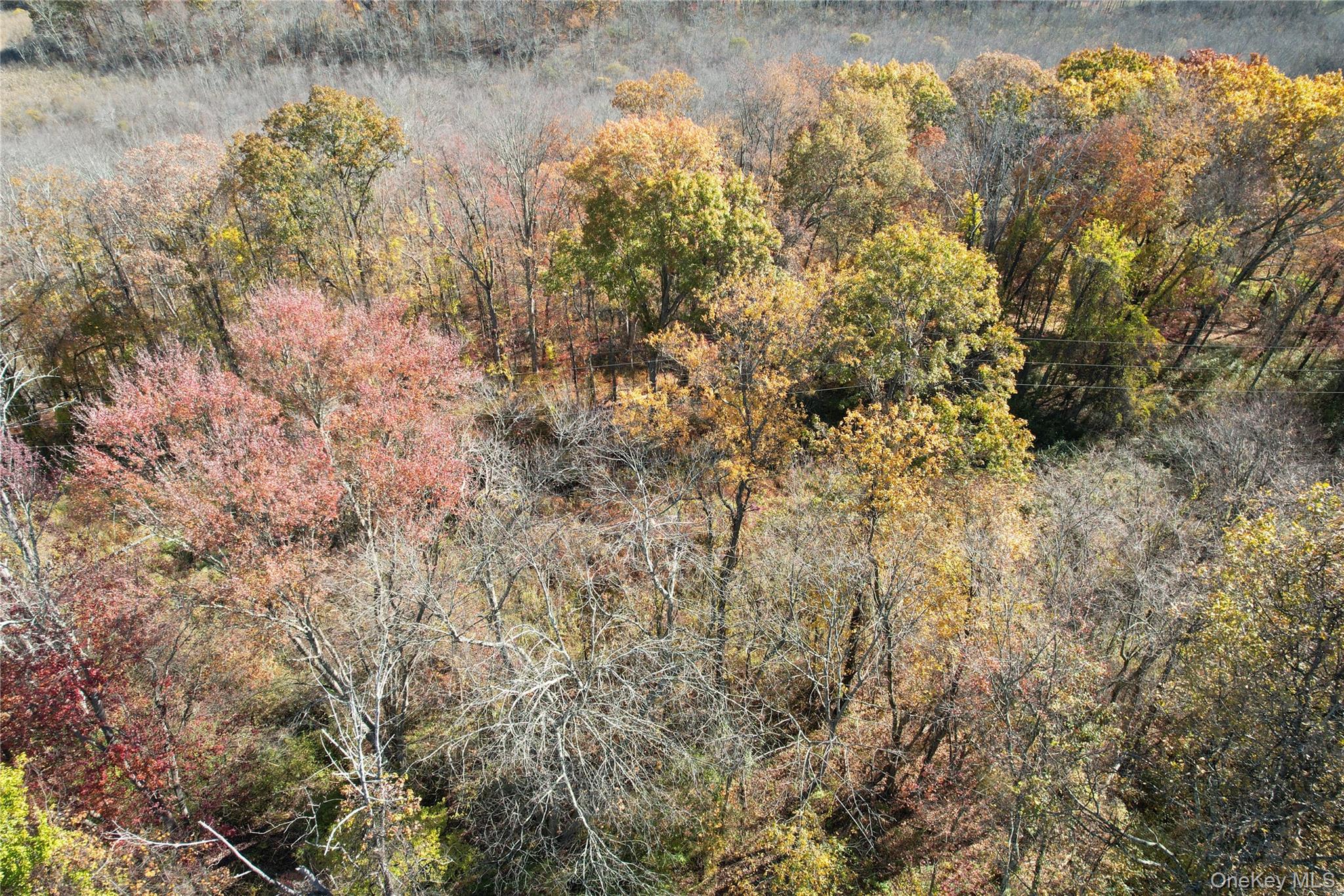 #4 photo, 00 Scofield Road, Pound Ridge , NY 10576