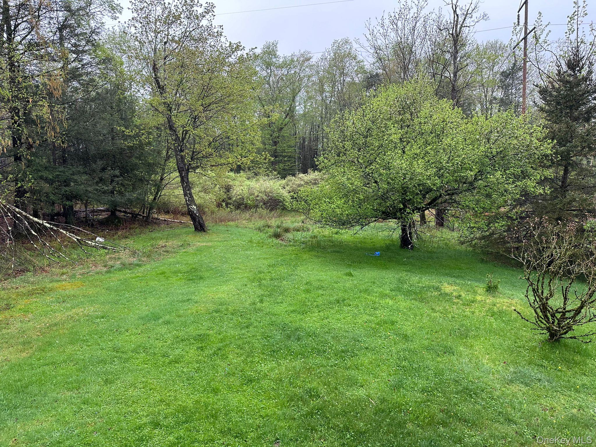 #3 photo, 198 E Pond Road, Woodridge , NY 12789