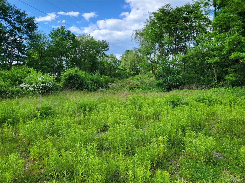 #10 photo, 2999 Route 6, Slate Hill , NY 10973