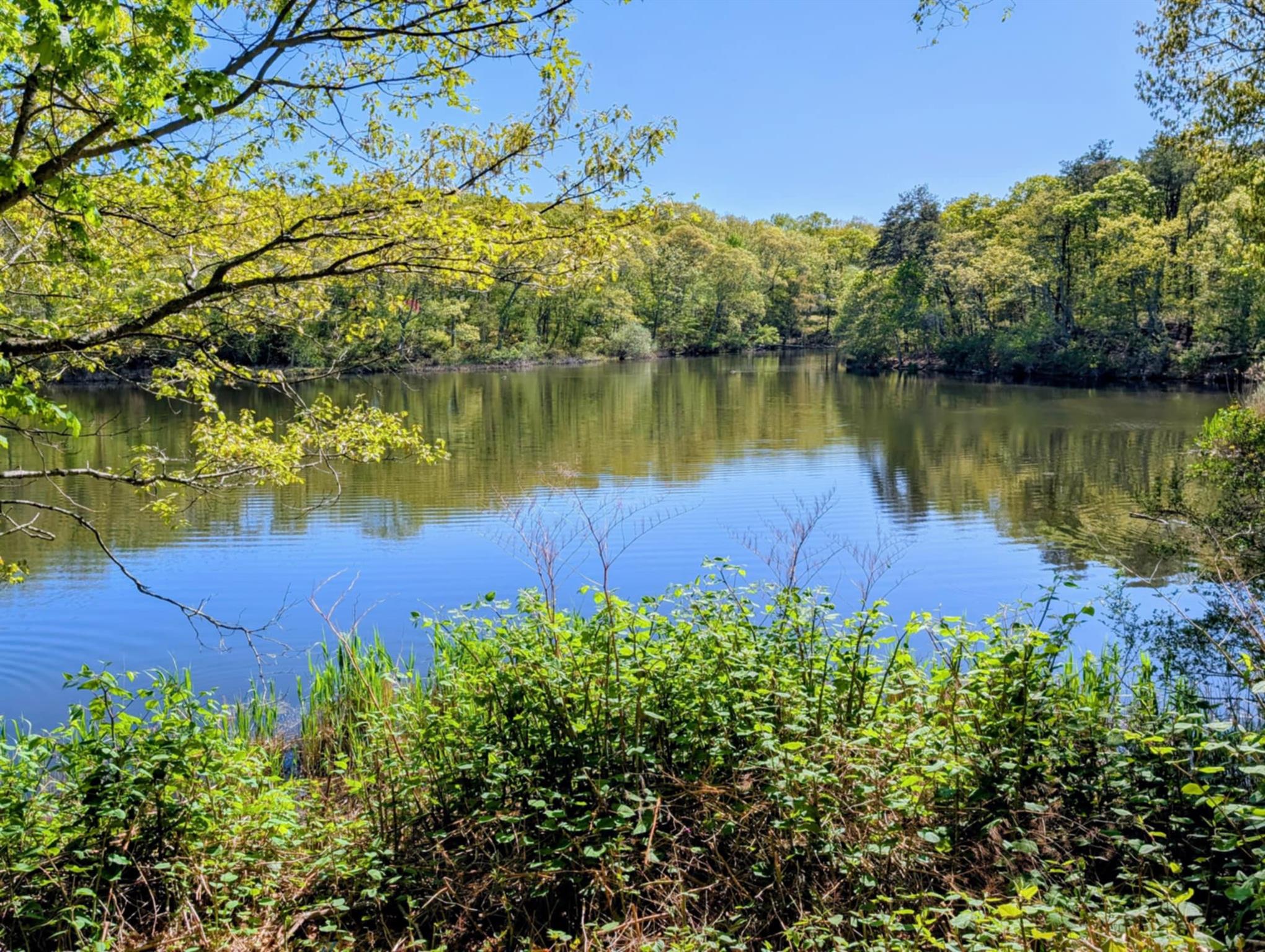 #1 photo, 1600 Bay Avenue, سوفولك East Marion , NY 11939