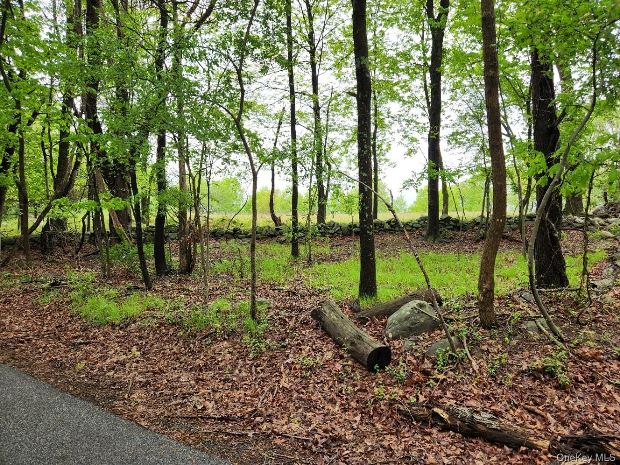 #3 photo, Odyssey Drive, Chester , NY 10918