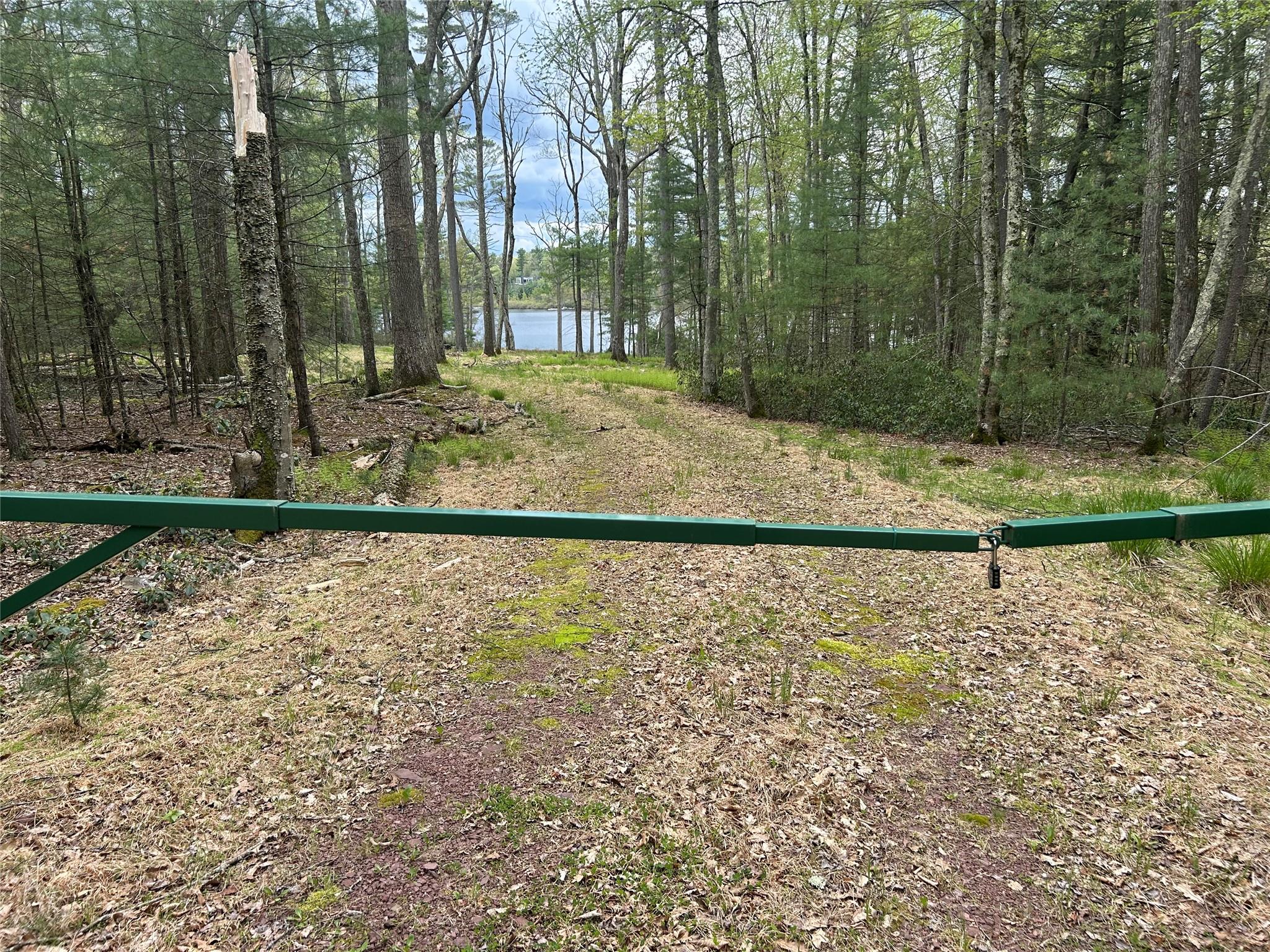 #4 photo, Lake View Drive, Call Listing Agent , NY 12743