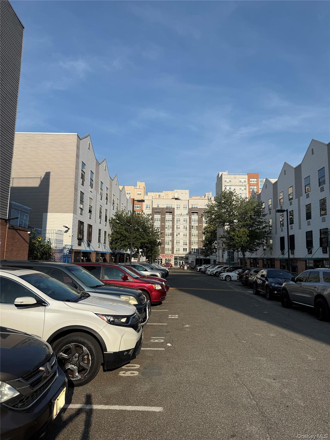 #11 photo, 769 Saint Anns Avenue, ブロンクス区 Bronx , NY 10456