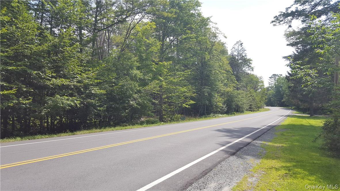 #4 photo, State Route 42, Grahamsville , NY 12765