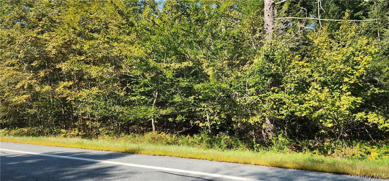 #5 photo, State Route 42, Grahamsville , NY 12765