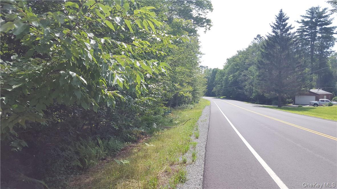 #6 photo, State Route 42, Grahamsville , NY 12765