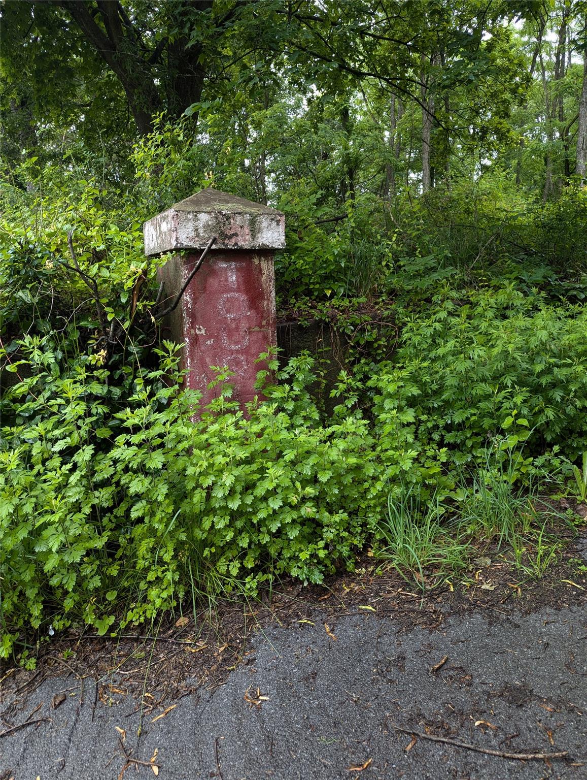#1 photo, CAUTERSKILL, Catskill , NY 12414