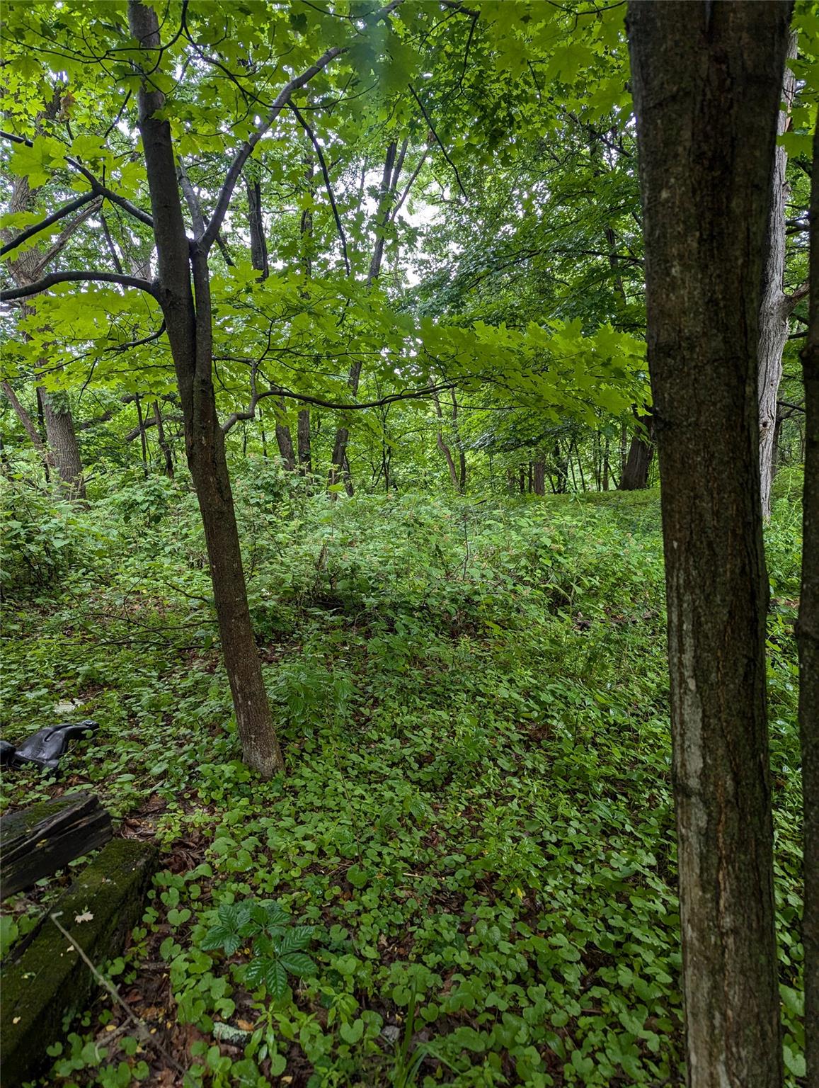 #10 photo, CAUTERSKILL, Catskill , NY 12414