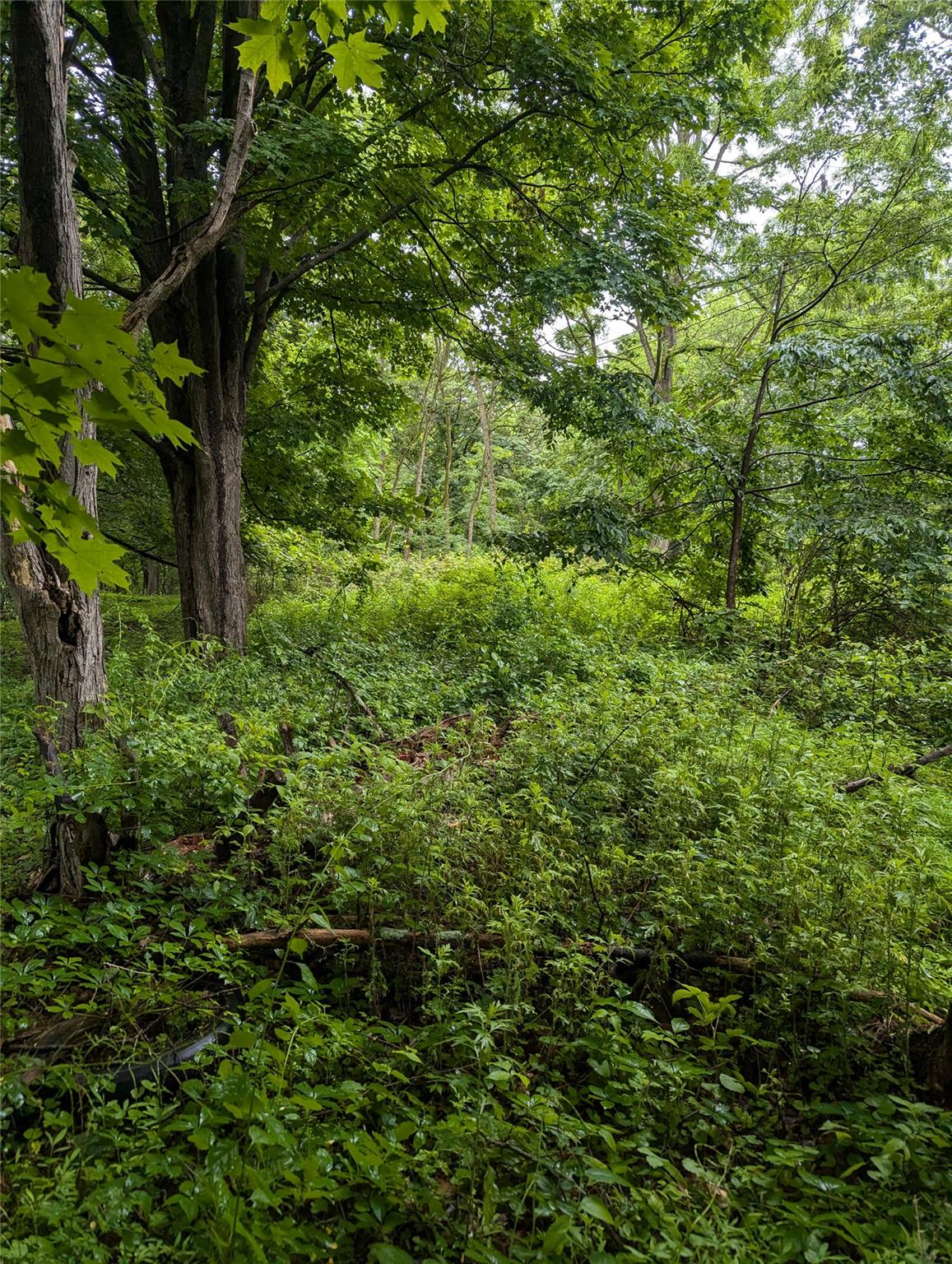 #11 photo, CAUTERSKILL, Catskill , NY 12414