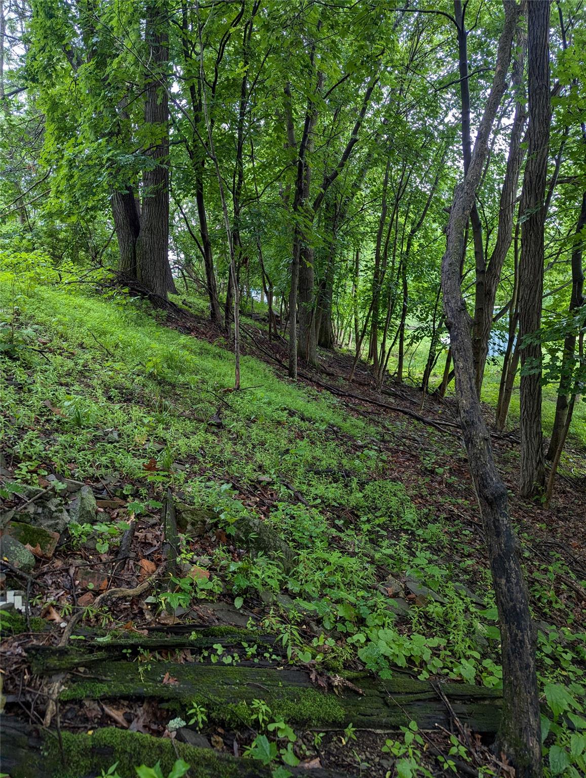 #12 photo, CAUTERSKILL, Catskill , NY 12414