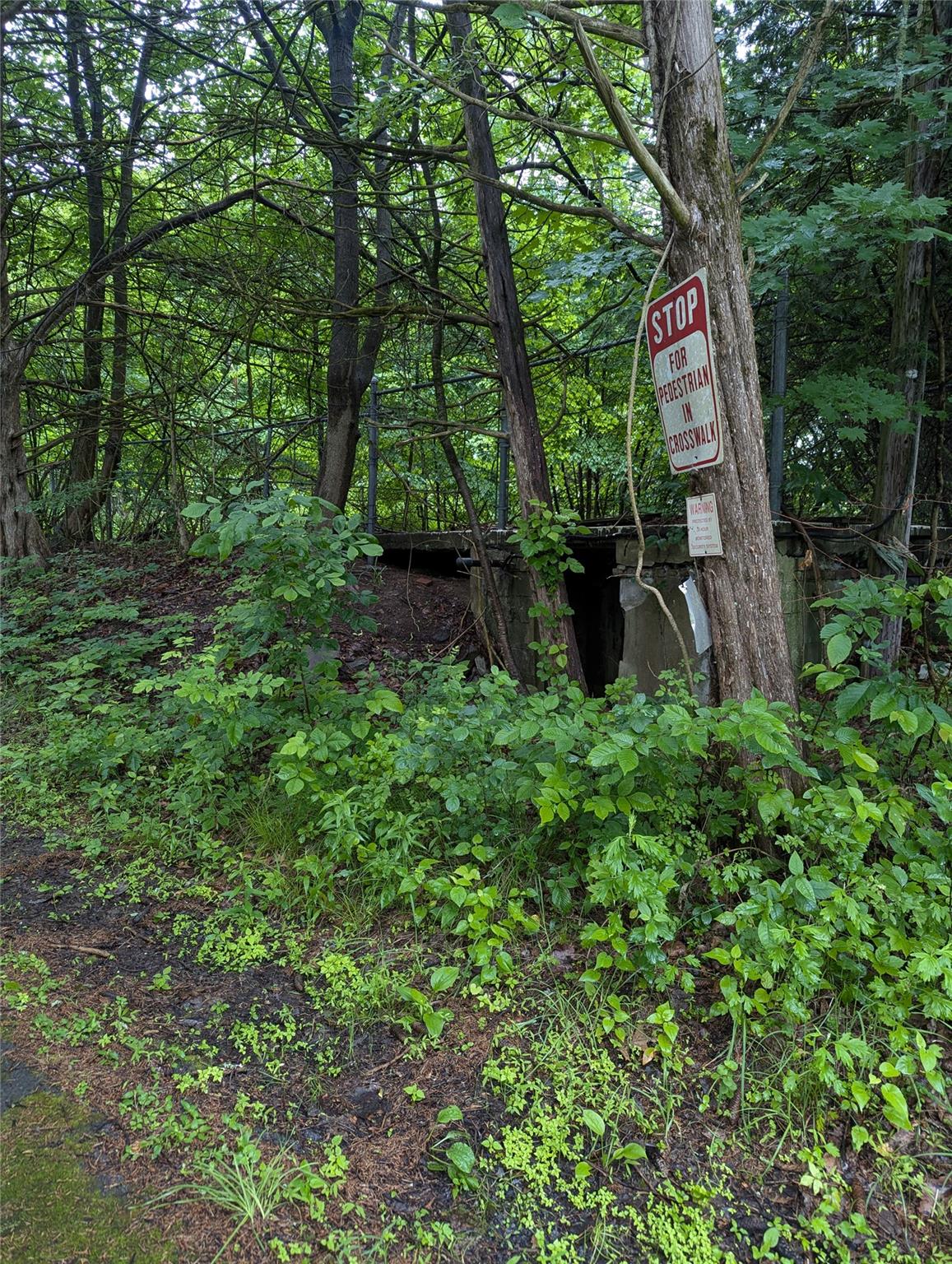 #20 photo, CAUTERSKILL, Catskill , NY 12414