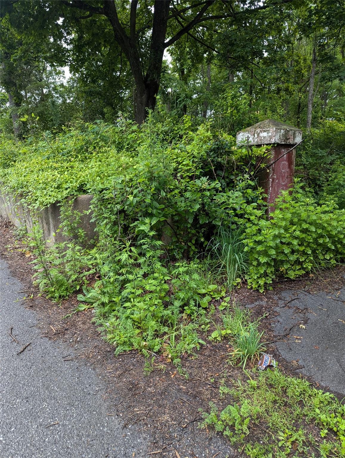 #4 photo, CAUTERSKILL, Catskill , NY 12414