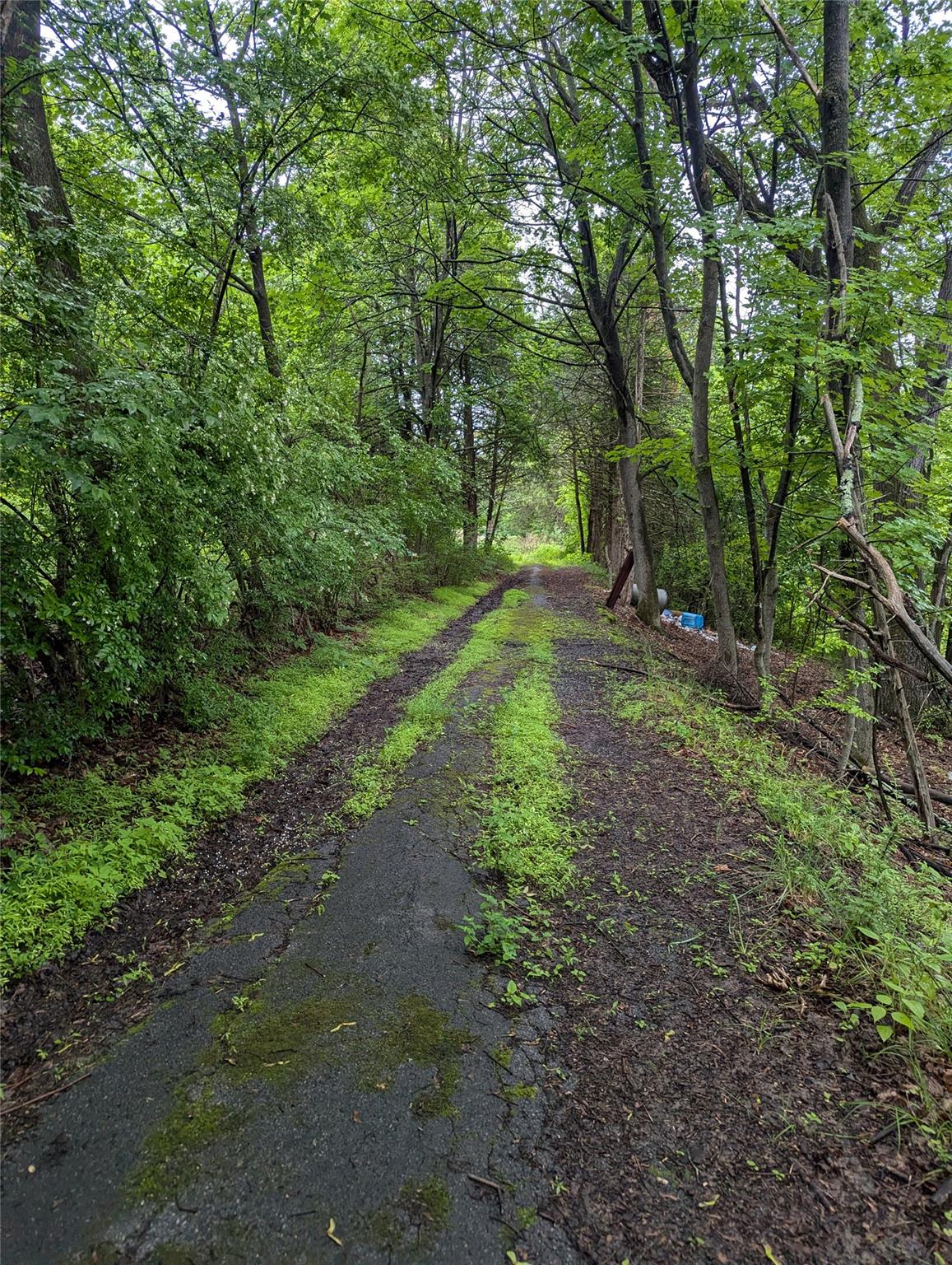 #7 photo, CAUTERSKILL, Catskill , NY 12414