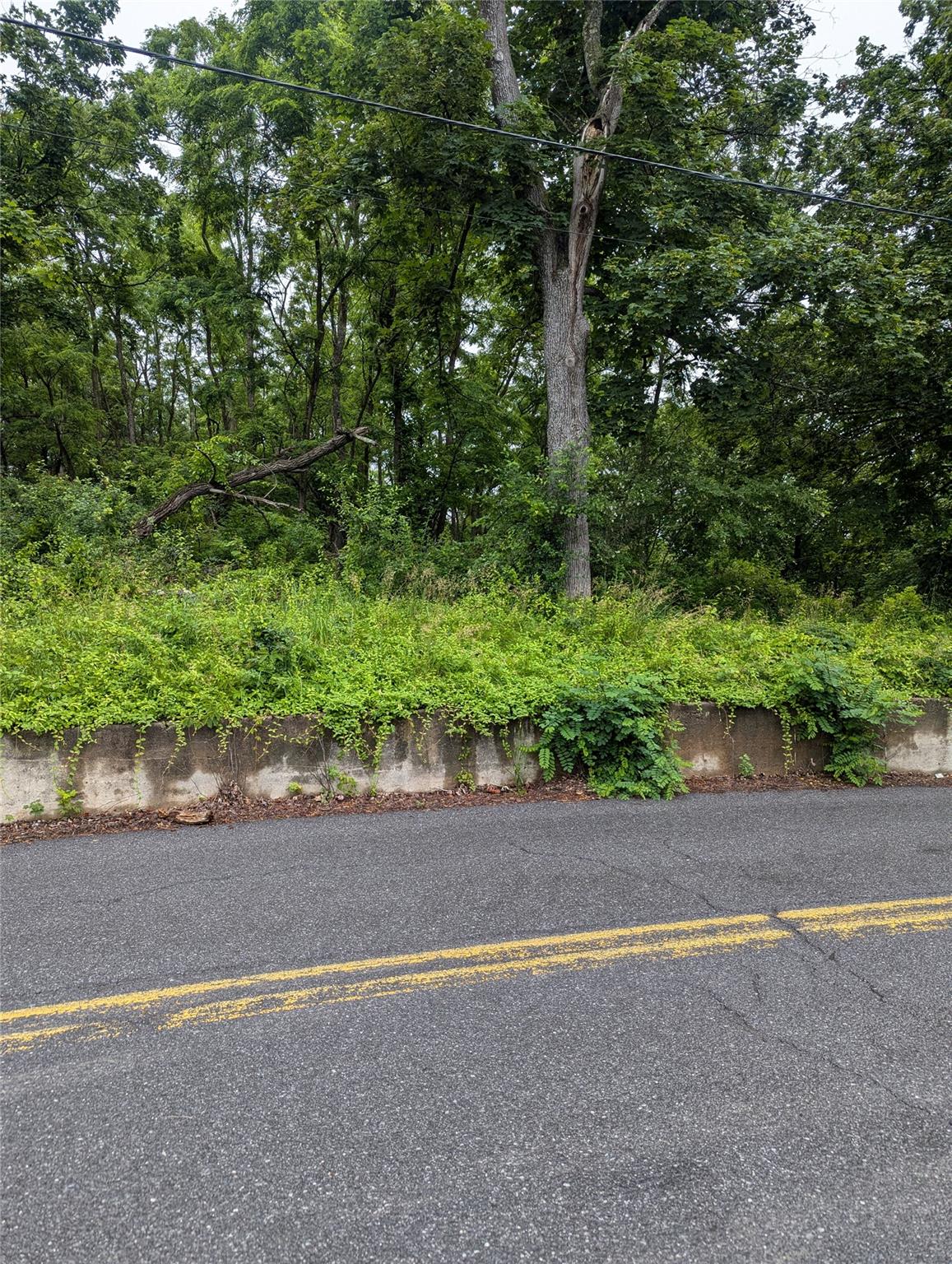 #8 photo, CAUTERSKILL, Catskill , NY 12414