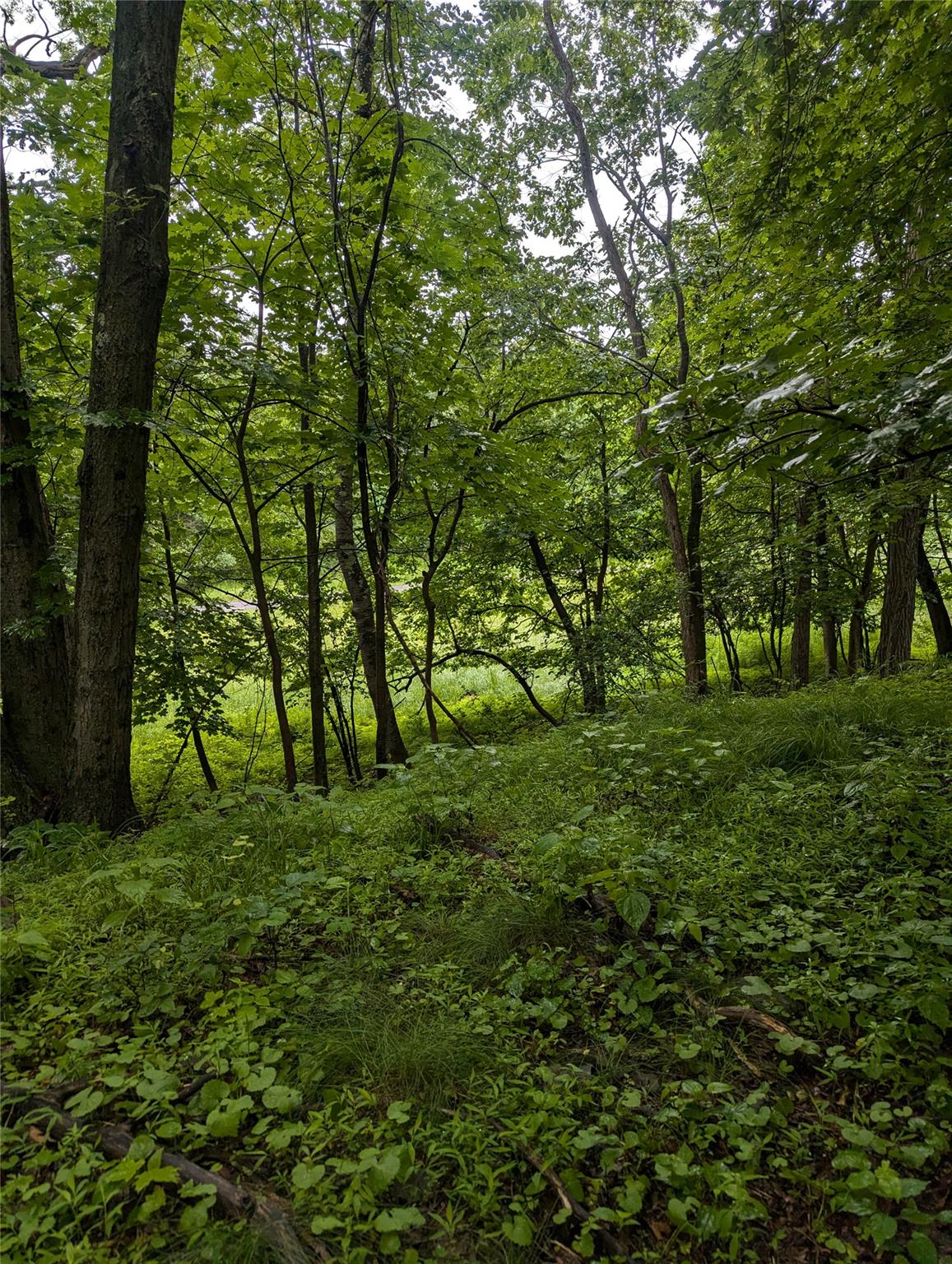 #9 photo, CAUTERSKILL, Catskill , NY 12414