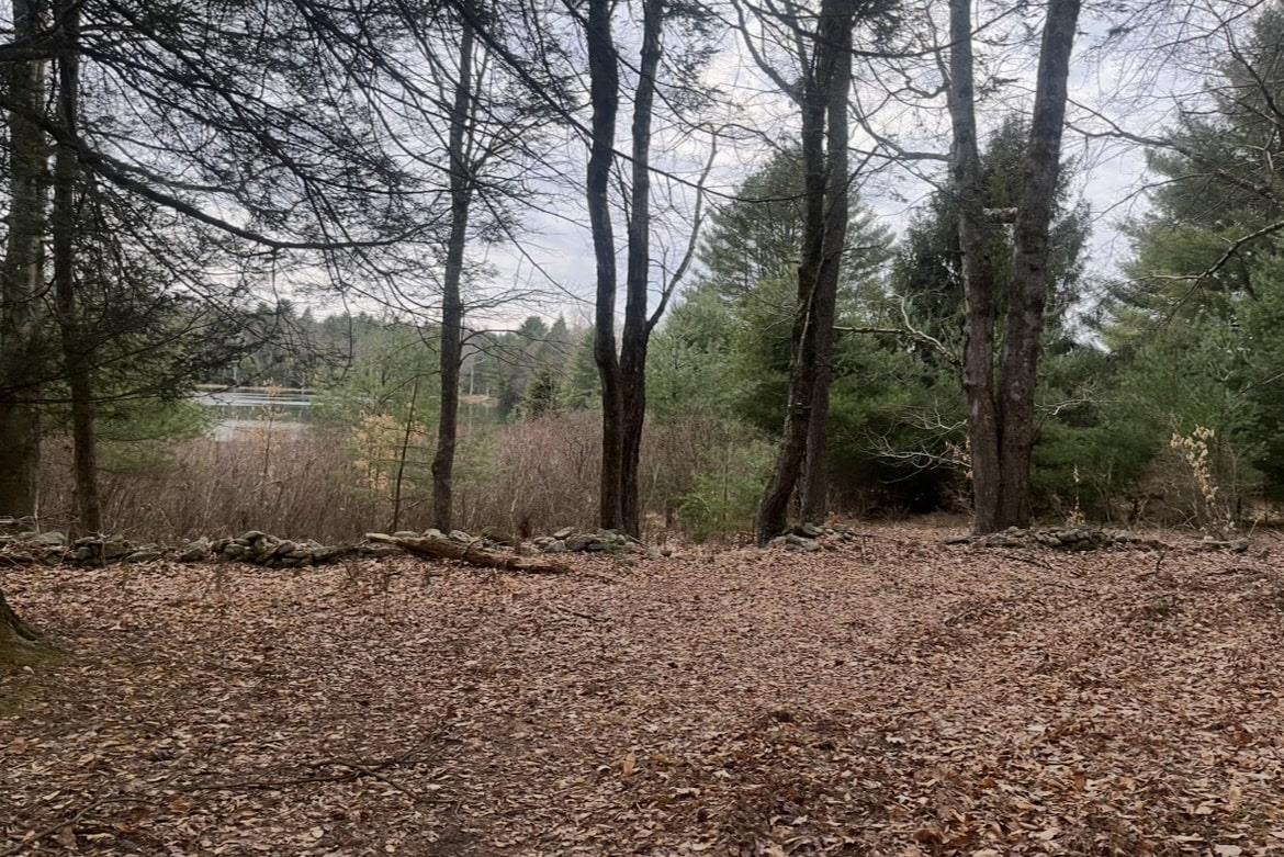 #2 photo, Rt-17B, White Lake , NY 12720