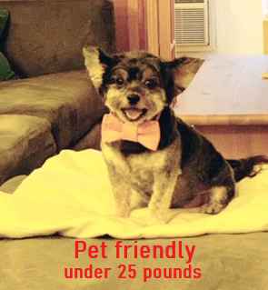 #8 photo, 77 W 55TH Street, マンハッタン Midtown , NY 10019