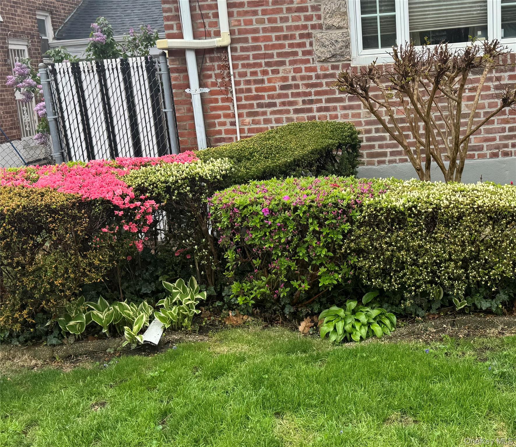 #7 photo, 111-54 178th Place, クイーンズ区 Addisleigh Park , NY 11433