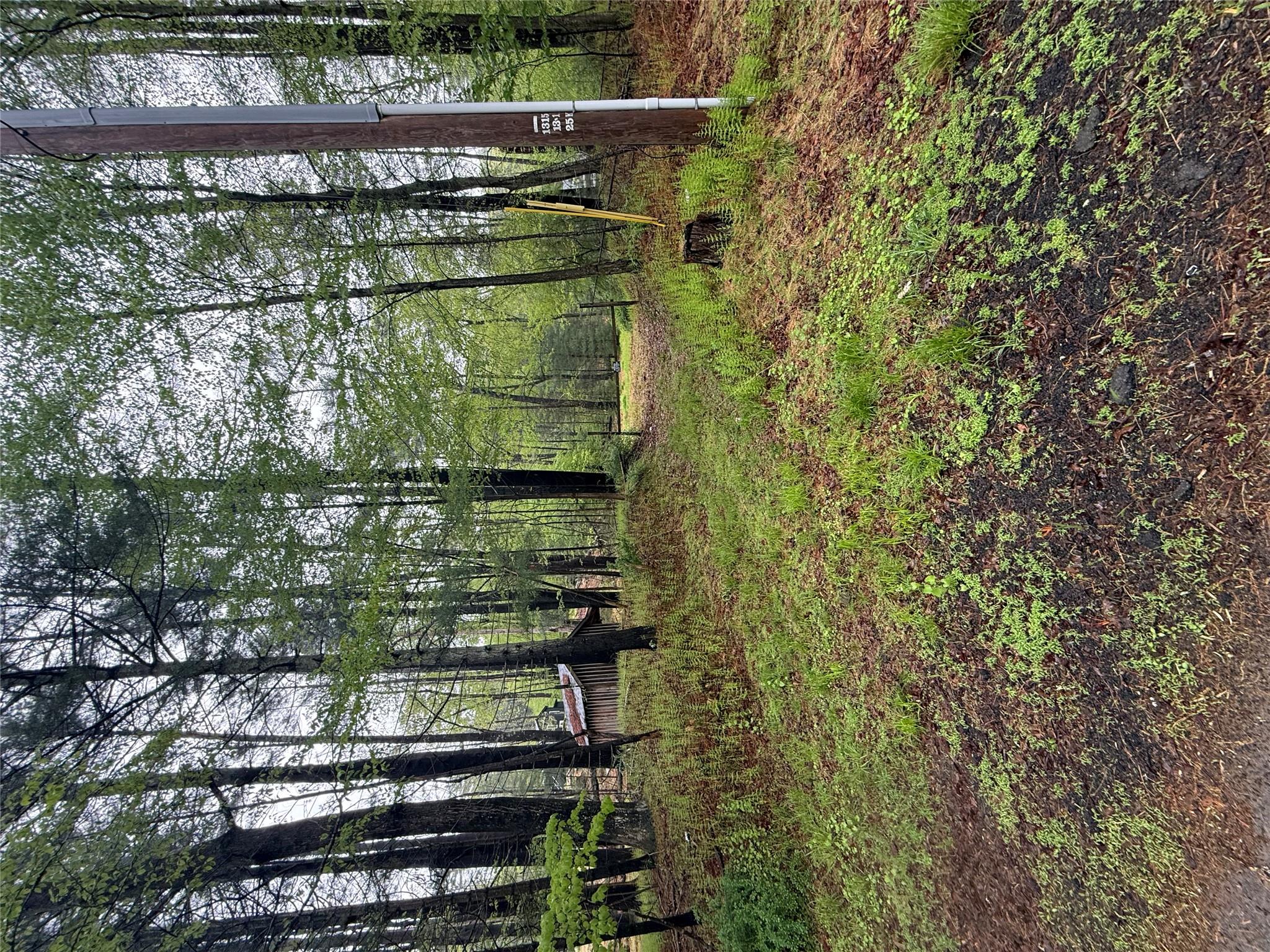 #2 photo, Hankins, Narrowsburg , NY 