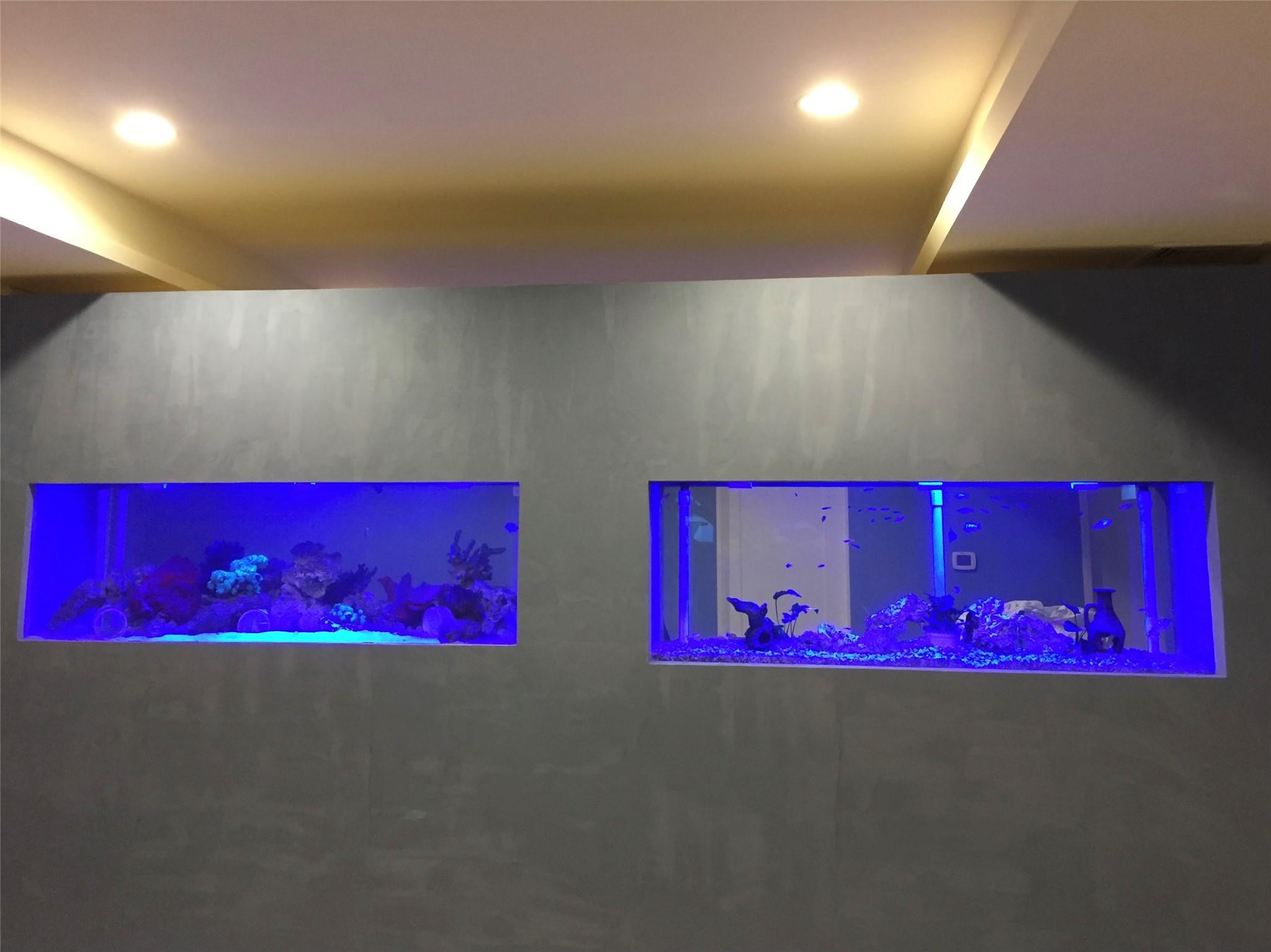 #8 photo, Manhasset, ナッソー郡 Manhasset , NY 11030