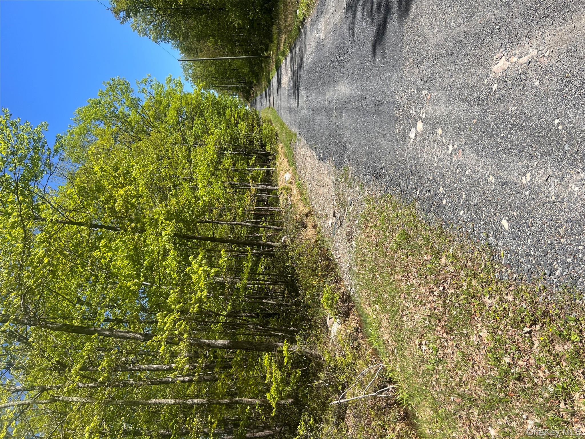 #2 photo, Schneller Lane, Pine Bush , NY 12566