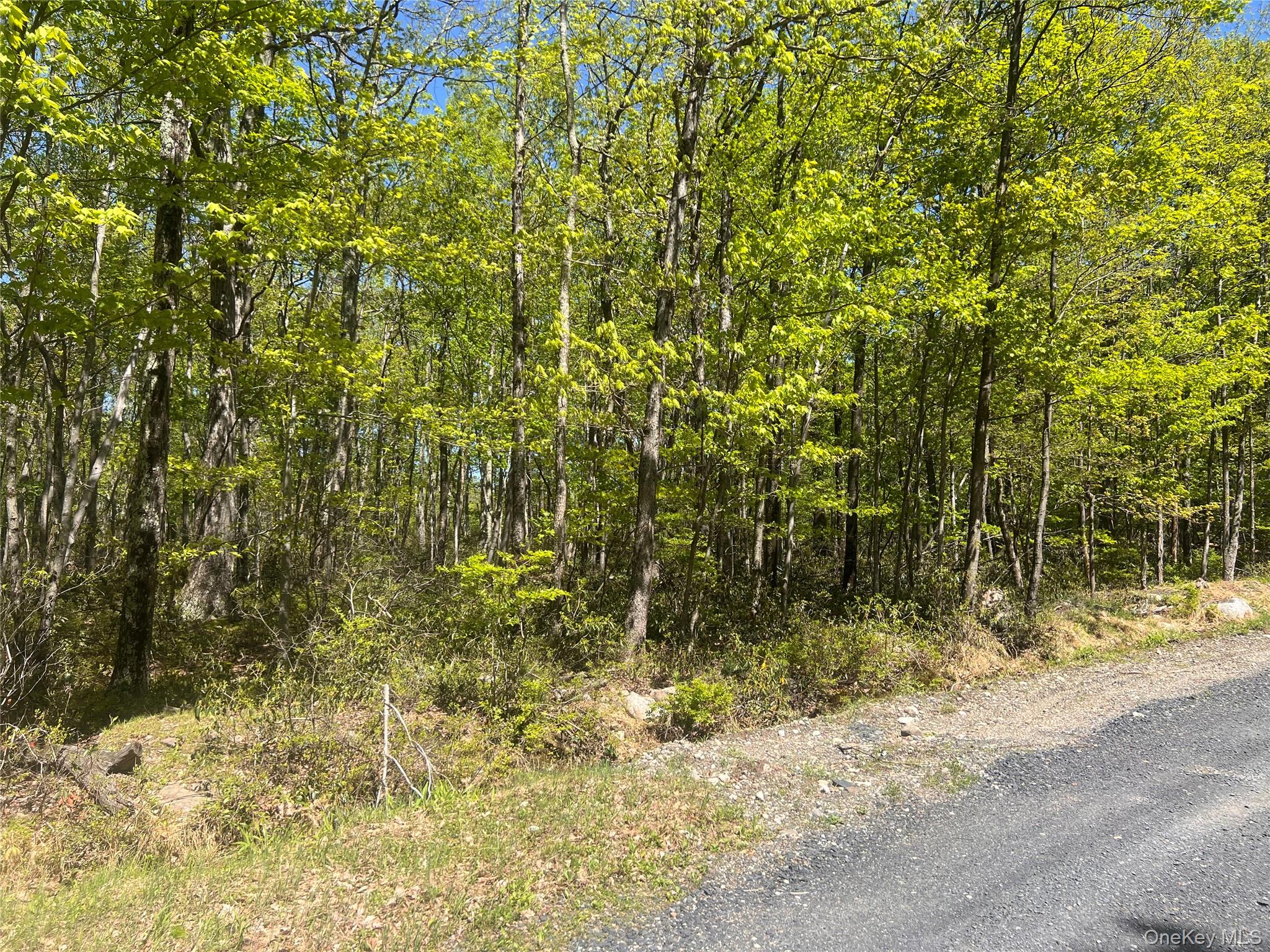 #3 photo, Schneller Lane, Pine Bush , NY 12566