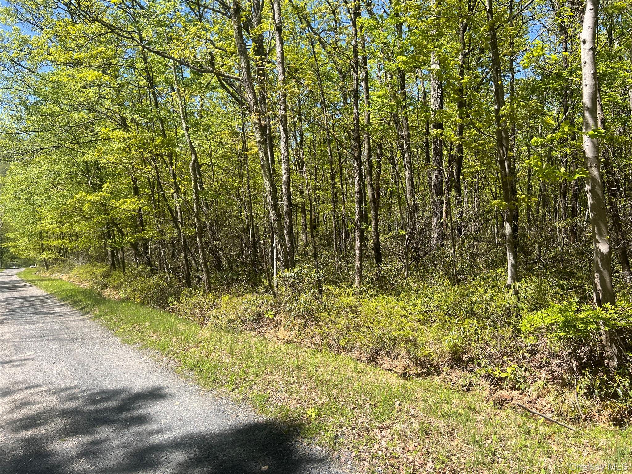 #4 photo, Schneller Lane, Pine Bush , NY 12566